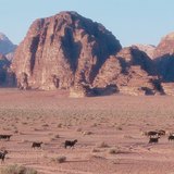 Wadi, một thuật ngữ tiếng Ả Rập cho đáy sông khô