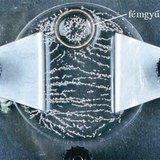 Elektromos mező hatása búzadarára – 2