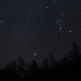 Ngôi sao của tam giác mùa đông