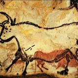 Aurochs và ngựa (Hang Lascaux, 18000-15000 trước Công nguyên)