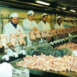 Baromfifeldolgozó üzem Bábolnán