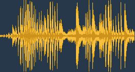 Đại bàng đuôi trắng