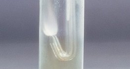 Hydrogen sẽ tiếp tục 'cháy' trong khí clo