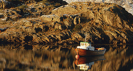 Thuyền đánh cá trên vịnh