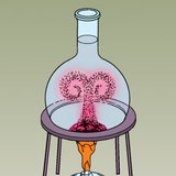 Thể hiện sự truyền nhiệt đối lưu với nước màu