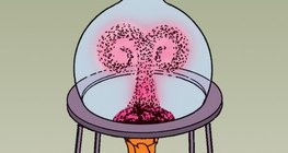 Thể hiện sự truyền nhiệt đối lưu với nước màu