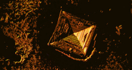 Tinh thể muối ăn