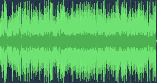 MUZ-KAL-2_CD-3_02_Orkestar