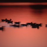 Trung tâm thương mại