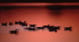 Trung tâm thương mại