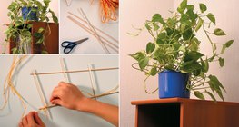 Làm một cấu trúc hỗ trợ hoa từ xiên