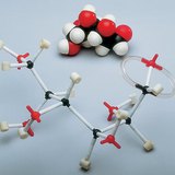 Mô hình lấp đầy không gian và thanh của một phân tử glucose hình thành chuỗi mở