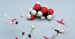 Mô hình lấp đầy không gian và thanh của một phân tử glucose hình thành chuỗi mở