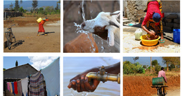 Hạn hán ở Châu Phi