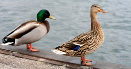 Trung tâm thương mại