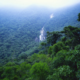 rừng nhiệt đới Amazon