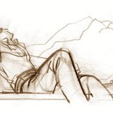 Bodies that absorb sunlight heat up