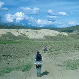 Steppe in Central Asia