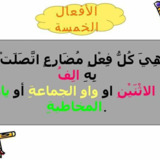 IMG-adecbfc7b0efe18231d943ca16eb7882-V