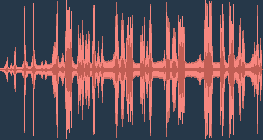 Chim két thông thường