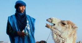 Một người đàn ông tuareg với một con lạc đà