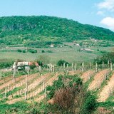 Cày song song làm tăng xói mòn đất