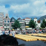 Chợ phô mai ở Alkmaar