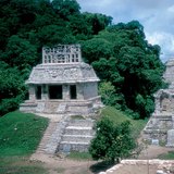 Rừng mưa nhiệt đới với tàn tích