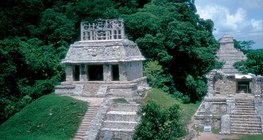 Rừng mưa nhiệt đới với tàn tích