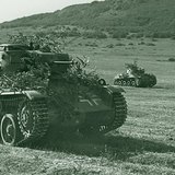 Magyar Toldi harckocsik hadgyakorlaton