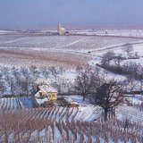 Phong cảnh mùa đông