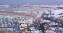 Phong cảnh mùa đông