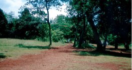 Đá ong, đất điển hình của vành đai xích đạo