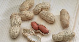 Đậu phộng
