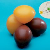 Liên kết của phân tử nước