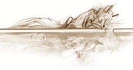 Động vật sống dưới nước tồn tại trong nước 'ấm hơn' dưới bề mặt băng ngay cả khi trời lạnh