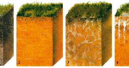 Types of soil (section)