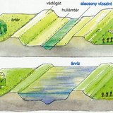 Hullámtér, védőgát, ártér, ármentesített terület