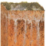 Hồ sơ đất mặn