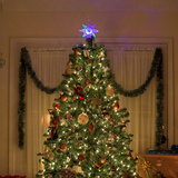 Cây thông giáng sinh