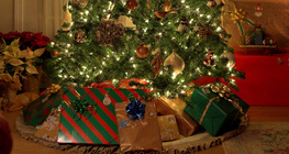 Cây thông giáng sinh