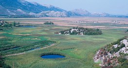 Lĩnh vực (lĩnh vực karst)