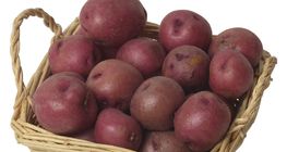 Những quả khoai tây