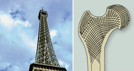Cấu trúc chùm của tháp Eiffel và xương đùi
