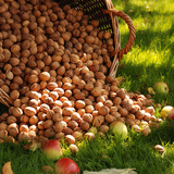 Một thùng quả óc chó