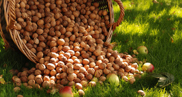 Một thùng quả óc chó