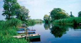 Sậy làm sạch nước chảy từ sông đến hồ