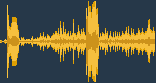 Chim gõ kiến ​​đen