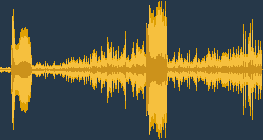 Chim gõ kiến ​​đen