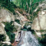 A Gaja-patak szurdokvölgye a Bakonyban